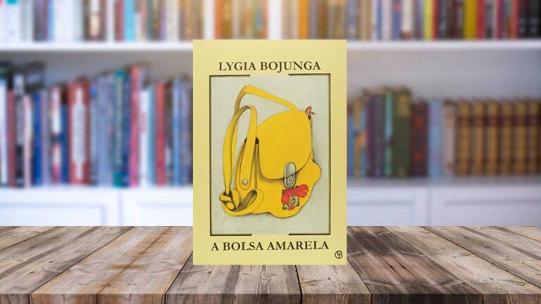 Capa do livro A Bolsa Amarela