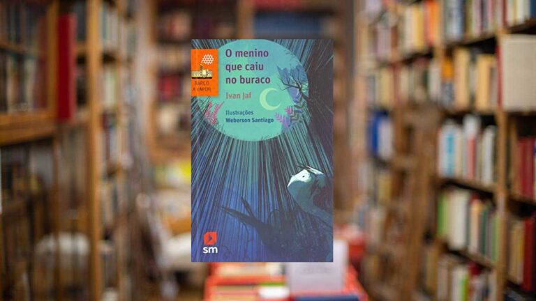 Capa do livro O Menino que Caiu no Buraco