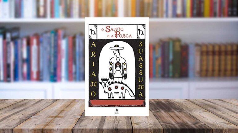 Capa do livro O santo e a porca